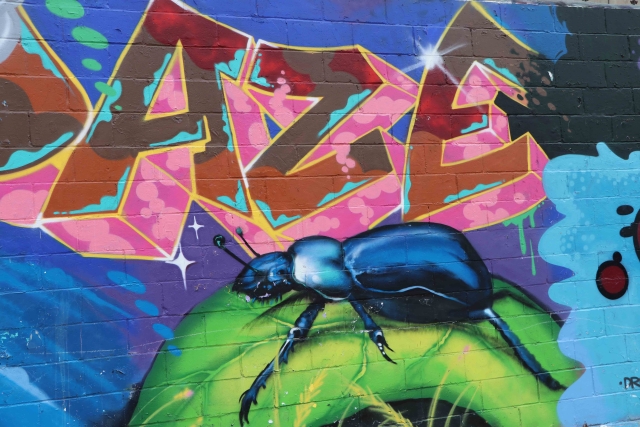 Mural of beetle under the letters AZE